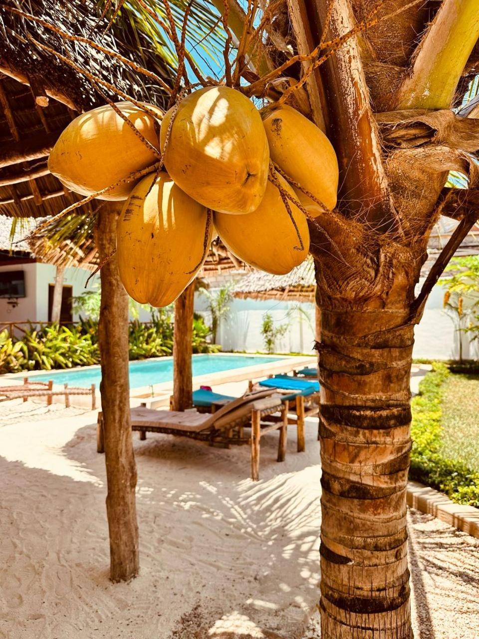 Lala Salama Kendwa Villas Dış mekan fotoğraf
