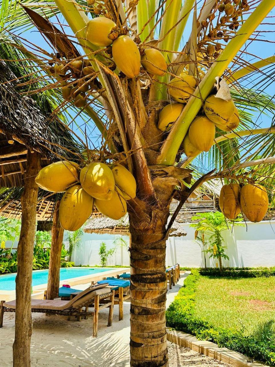 Lala Salama Kendwa Villas Dış mekan fotoğraf